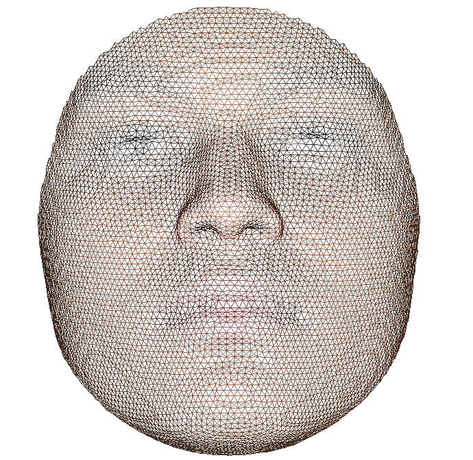 2 front view wireframe.png